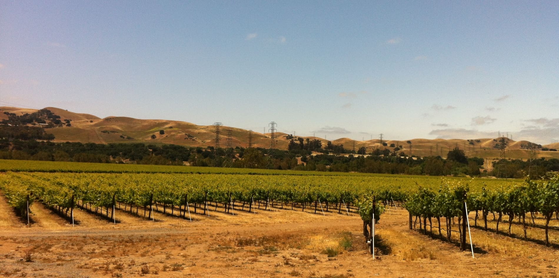 Vineyards in the Livermore Valley wine country, Livermore, California
