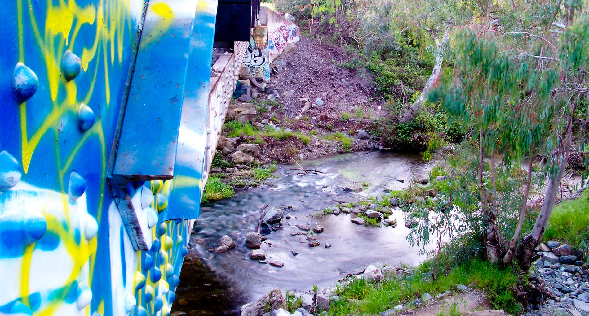 Arroyo del Valle creek and open space in Pleasanton