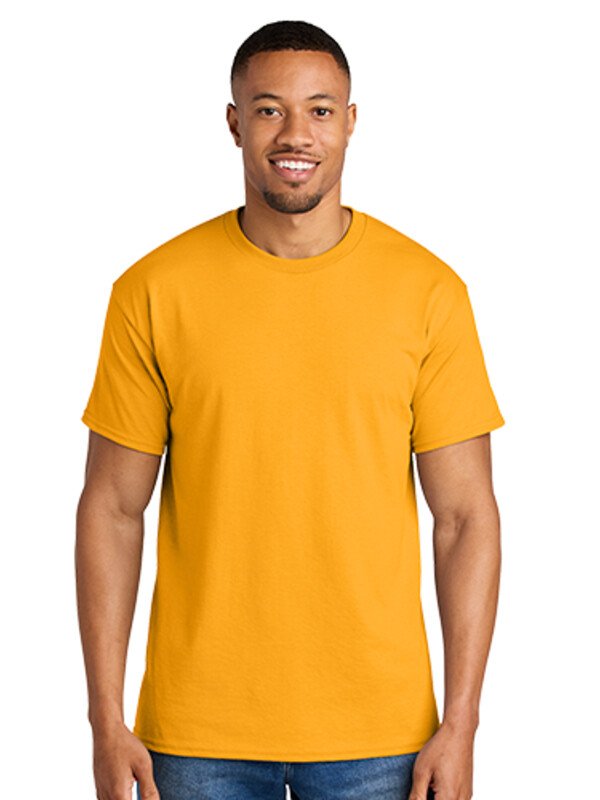 DryBlend 50 Cotton/50 Poly T Shirt Thumbnail